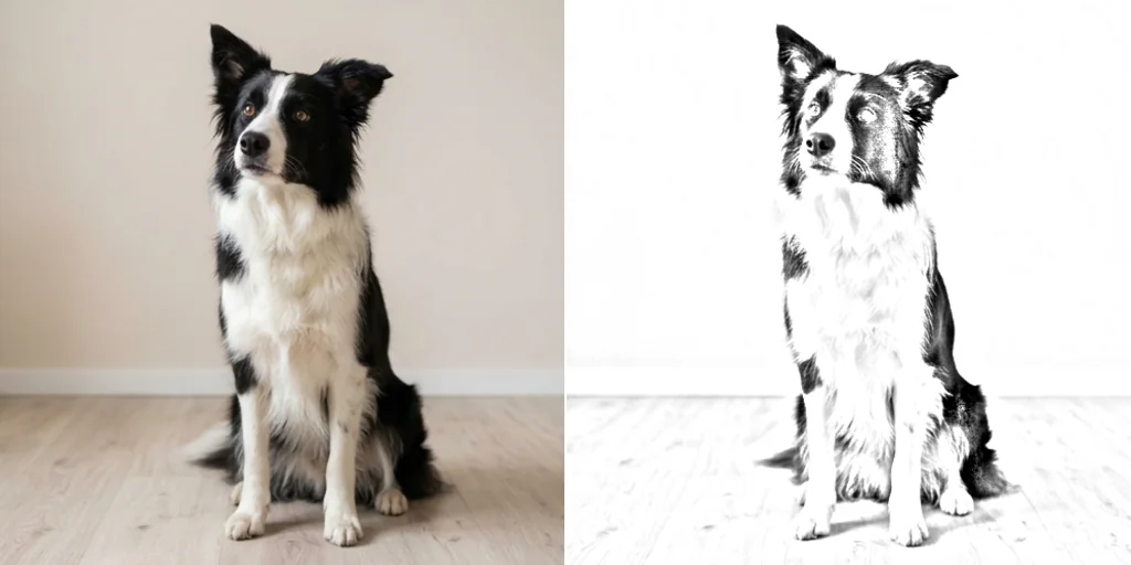 Before and after: a photo of a dog and a detailed pencil sketch of it