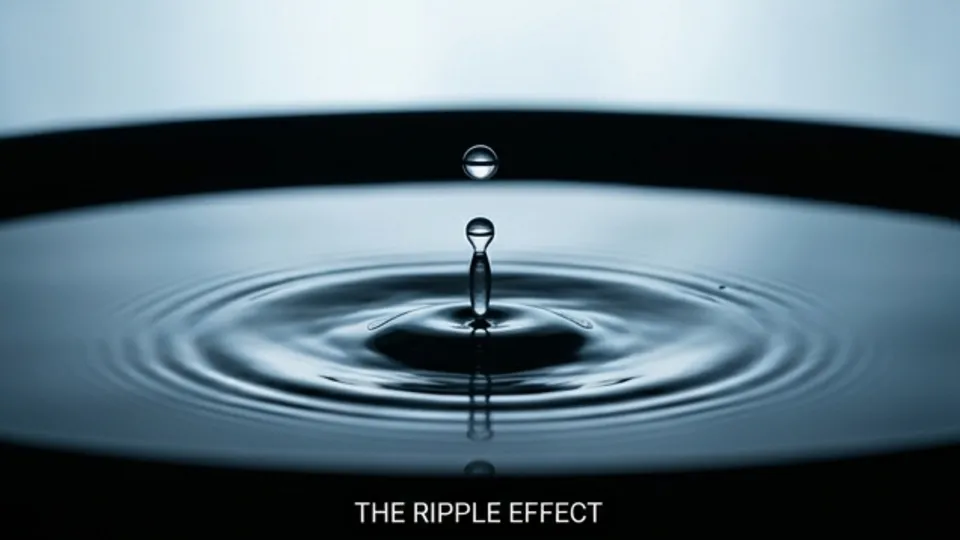 Education Video example