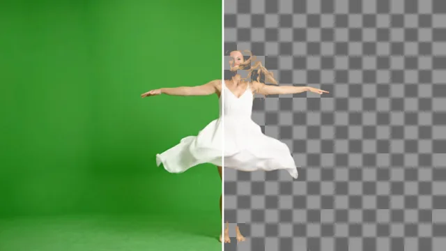Video Background Remover example