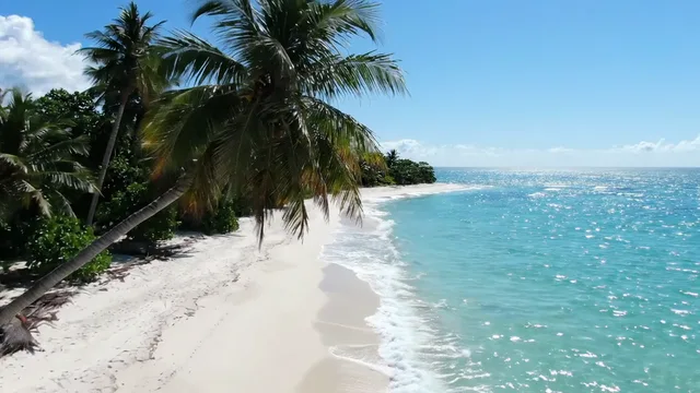 Remove Object from Video example